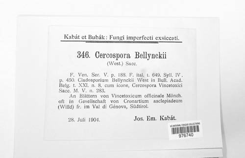 Mycovellosiella bellynckii image